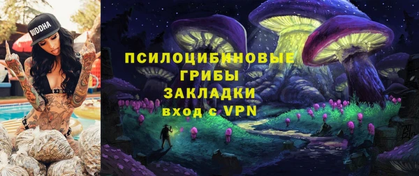 мдма Богородицк