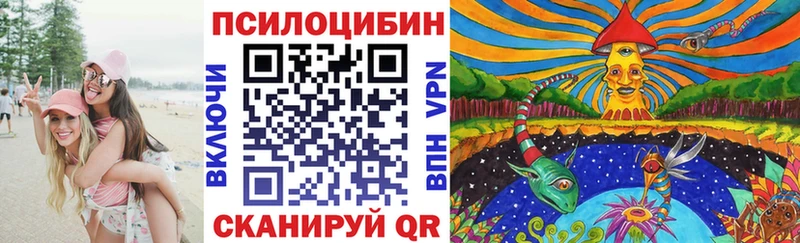 Псилоцибиновые грибы мицелий  Купить  Вятские Поляны 